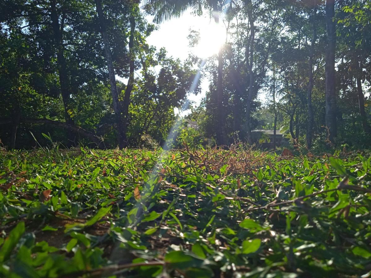 Green Garden Hiriketiya Dickwella Exterior photo